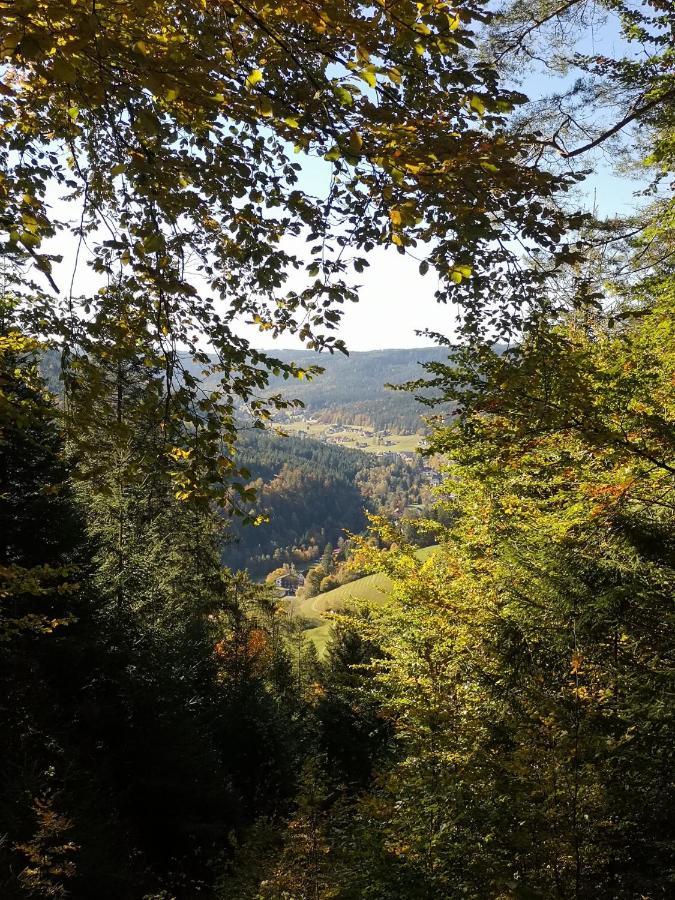 Altes Berghaus Daire Obertal  Dış mekan fotoğraf