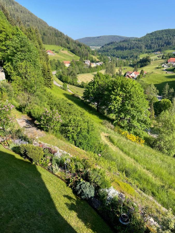 Altes Berghaus Daire Obertal  Dış mekan fotoğraf