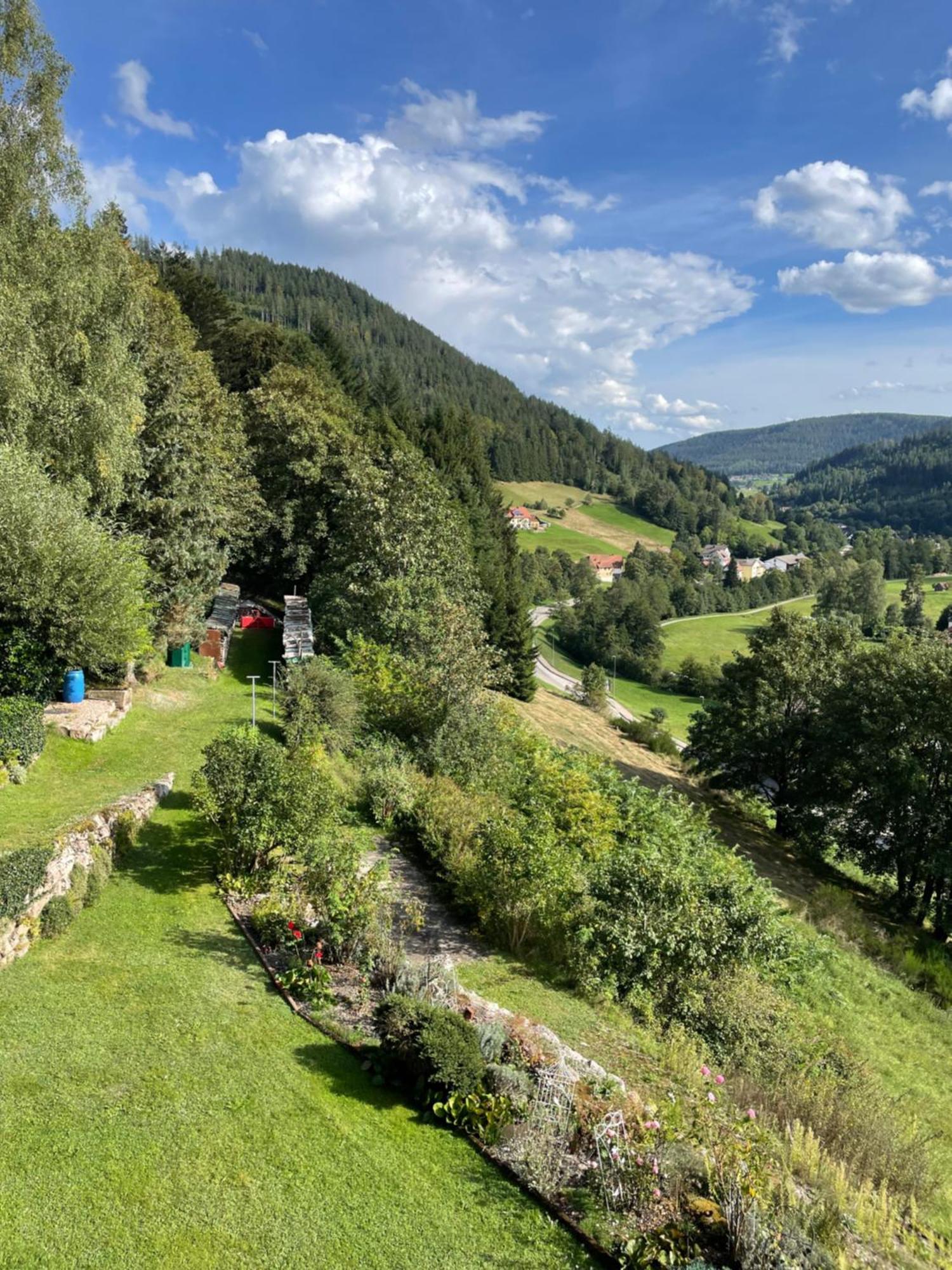 Altes Berghaus Daire Obertal  Dış mekan fotoğraf