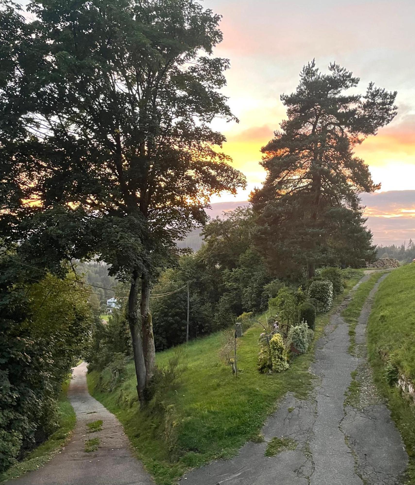 Altes Berghaus Daire Obertal  Dış mekan fotoğraf