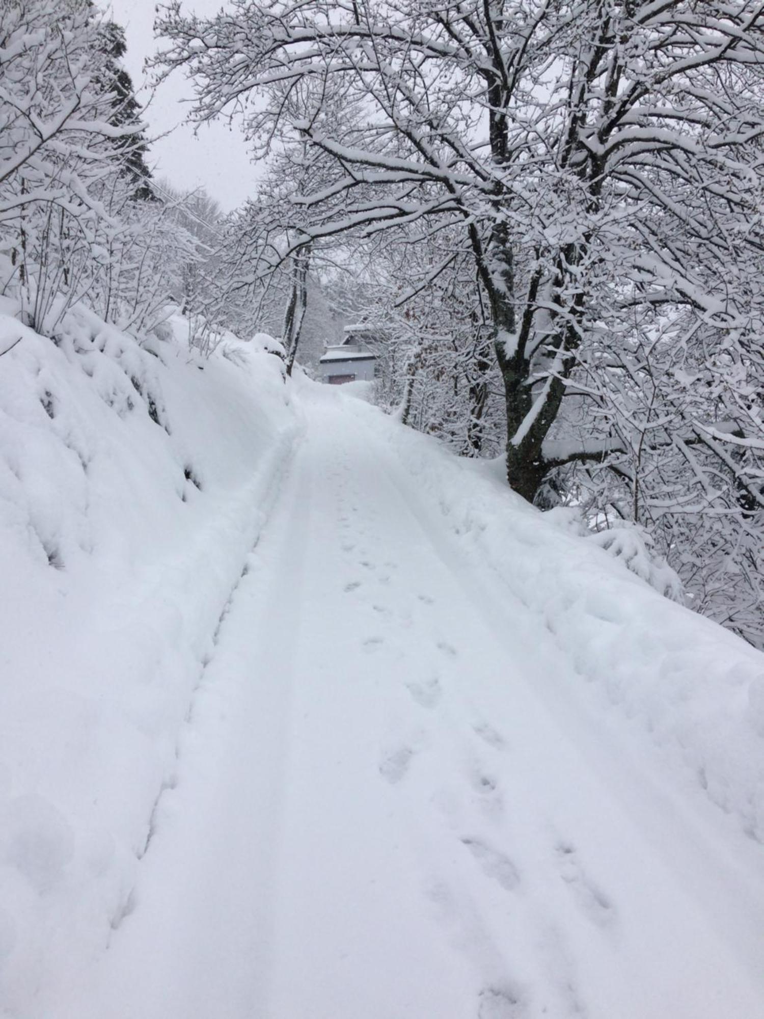Altes Berghaus Daire Obertal  Dış mekan fotoğraf